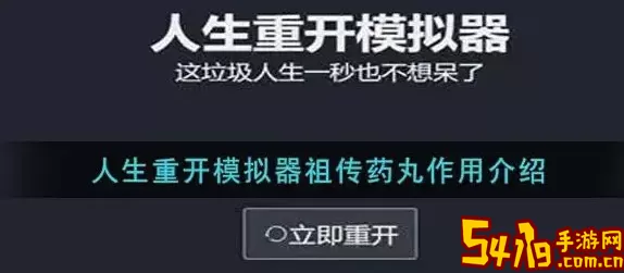 人生重开模拟器祖传药丸 人生重开模拟器祖传药丸是干什么的？