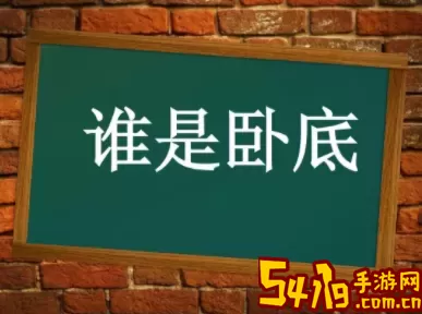 谁是卧底猜词游戏词语 谁是卧底(猜词游戏)