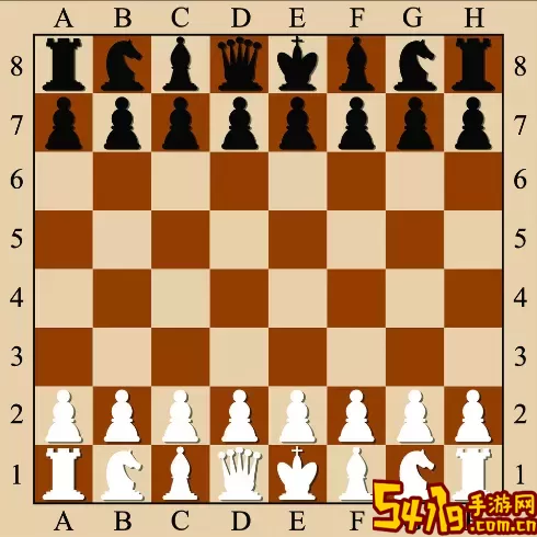 国际象棋棋子英文 国际象棋棋子英文叫法