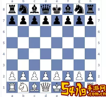 国际象棋级别和段位 国际象棋段位年龄限制