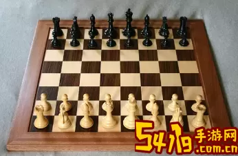 国际象棋u10是什么意思？国际象棋公开组是什么意思？