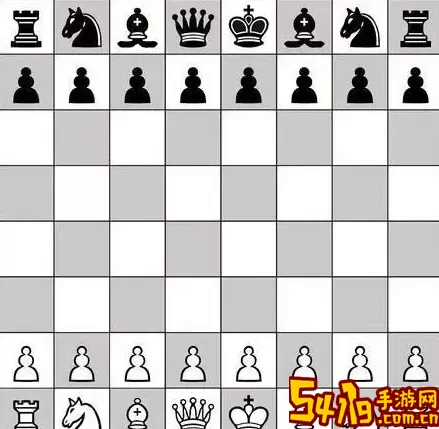 国际象棋王的走法 国际象棋后的走法