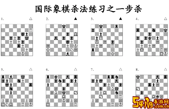 国际象棋pts的含义 国际象棋马的含义