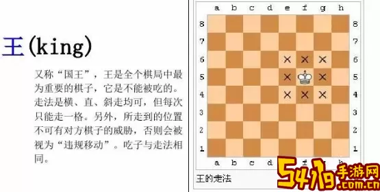 国际象棋r是什么？国际象棋TB1是什么意思？