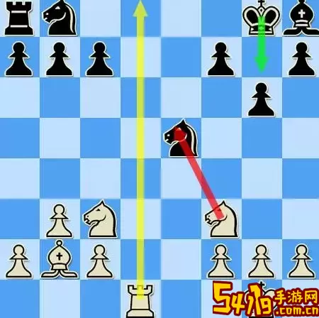 国际象棋rook怎么读？Rook怎么读？