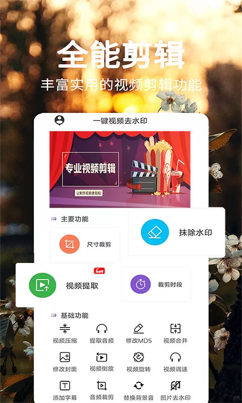 一键视频去水印软件图3