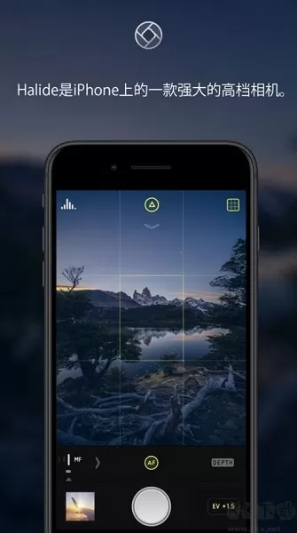 Halide Mark II专业相机安卓版图2