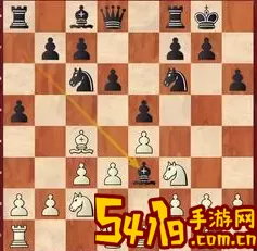 国际象棋冠军 国际象棋冠军赛