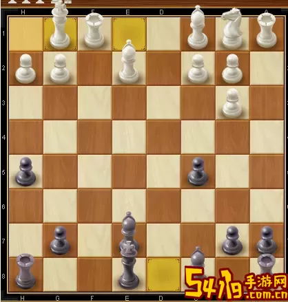 国际象棋sno什么意思？sno代表什么意思?？