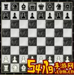 国际象棋一共有多少个棋子？国际象棋棋子的名字及图片