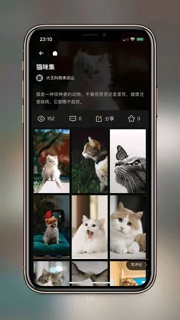 纸塘壁纸最新版图2