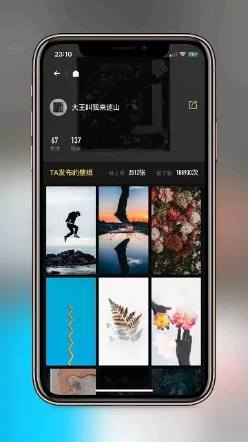 纸塘壁纸最新版图1