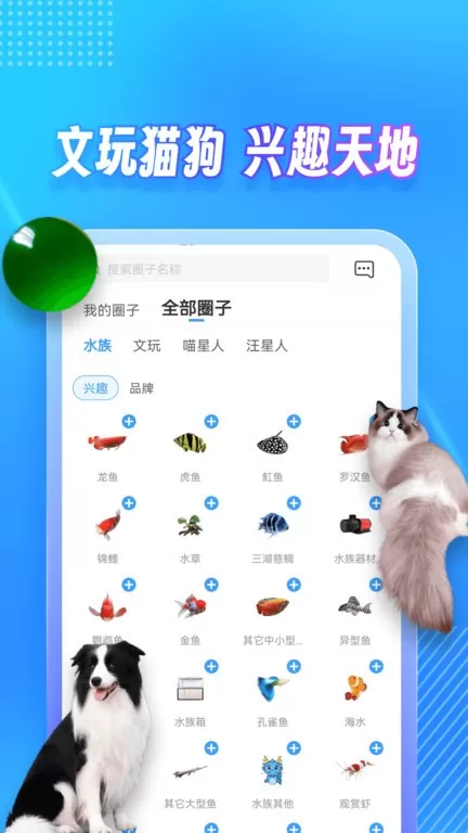 龙巅下载最新版本图3