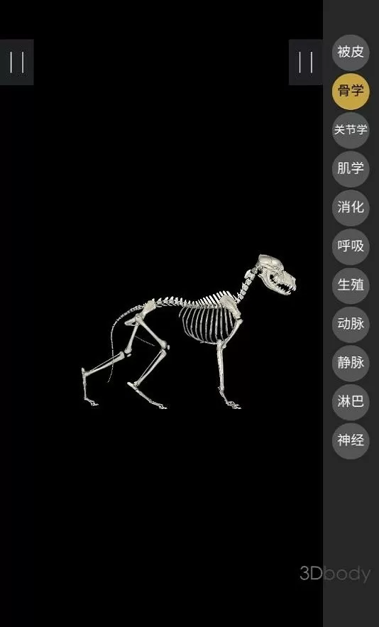 3Dbody宠物官网正版下载图2