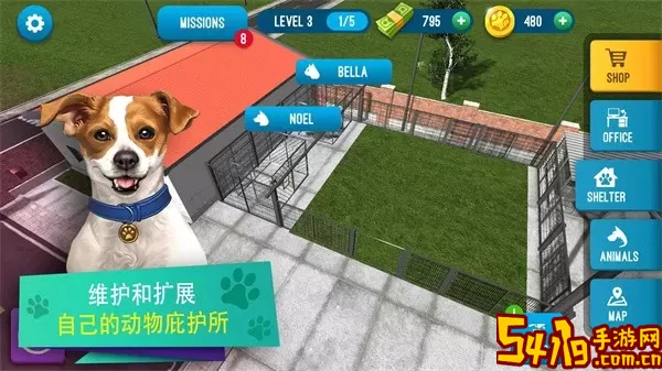 Animal Shelter Simulator官方版