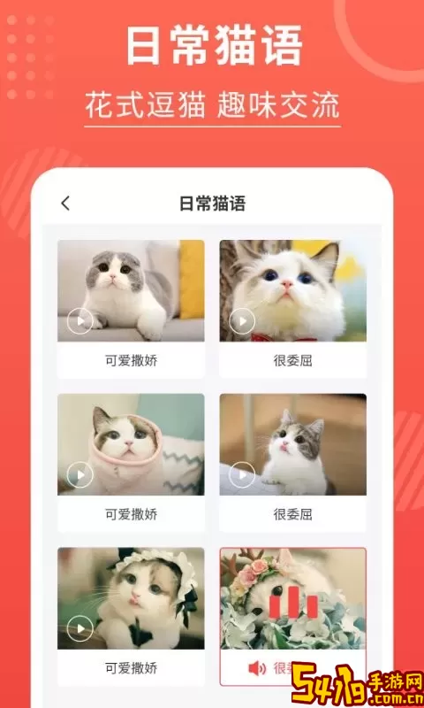 猫猫翻译器官方版下载