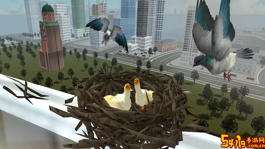 鸽子生存模拟免费手机版