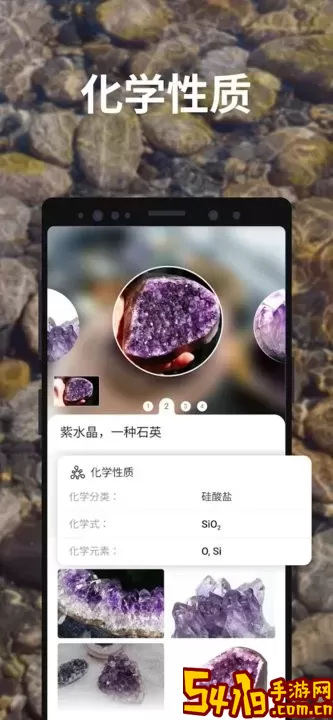 Rock Identifier安卓最新版