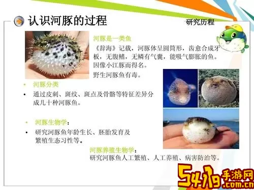 河豚阅读免费版下载