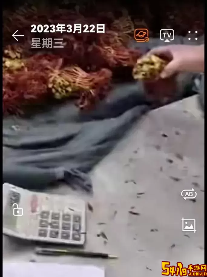 绿康生活手机版下载