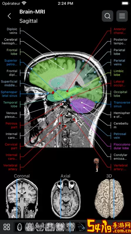 e-Anatomy下载安卓版