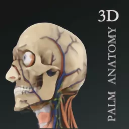 掌上3D解剖安卓免费下载