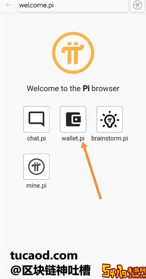 Pi Browser下载最新版