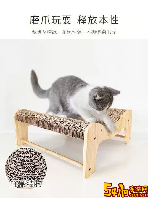 睡猫云仓官网版手机版