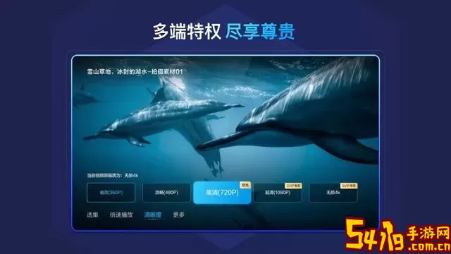 百度网盘tv版手机版