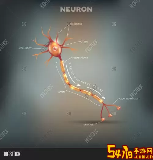 Neuron免费手机版