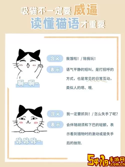 猫语翻译器最新版