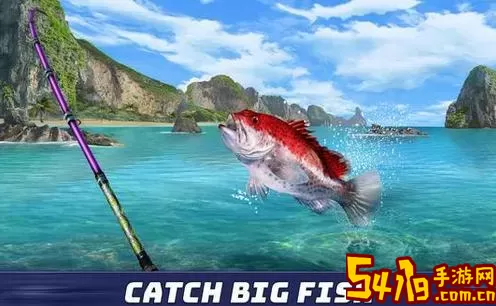 Fishing Clash安卓版本