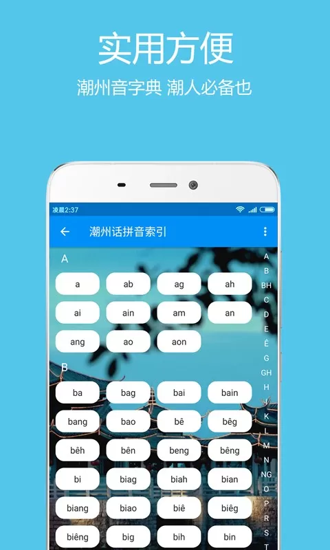 潮州音字典官网版下载图1