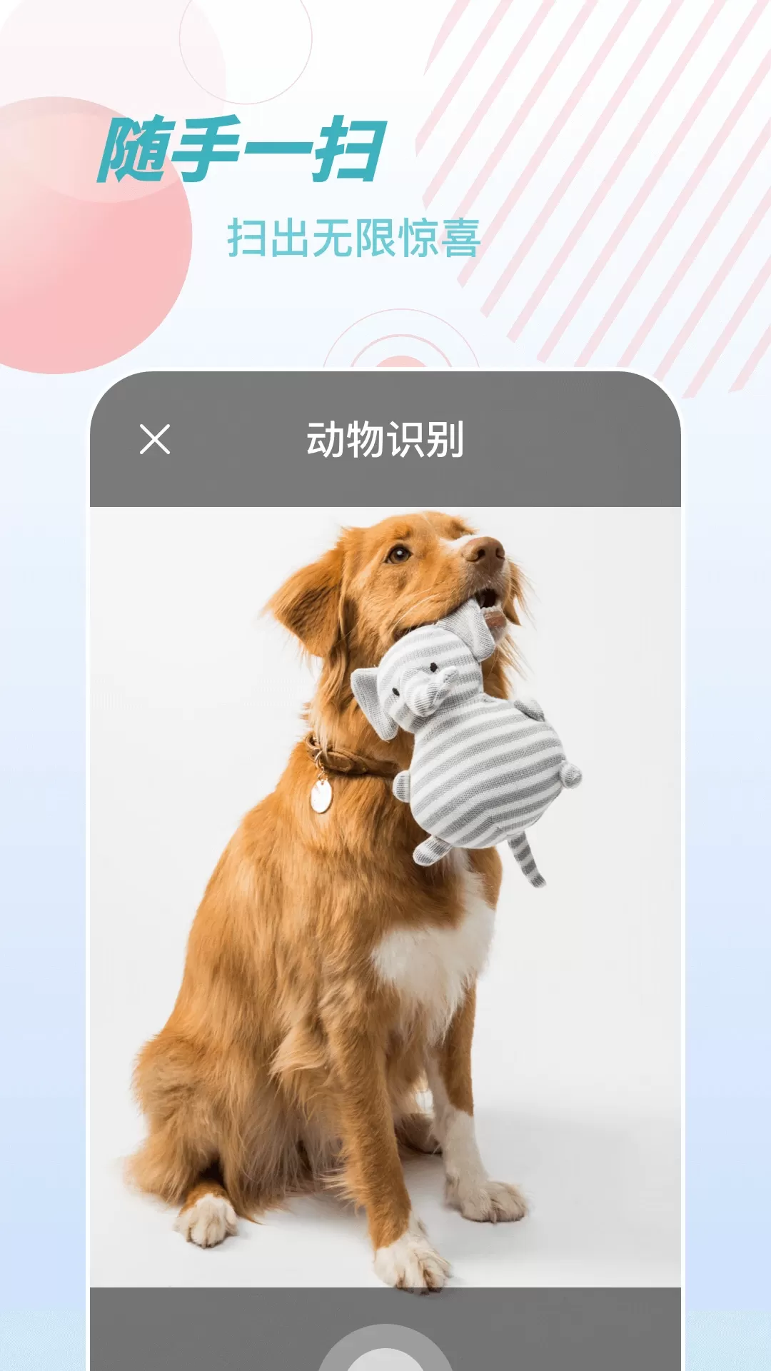 物品识别师app安卓版图2