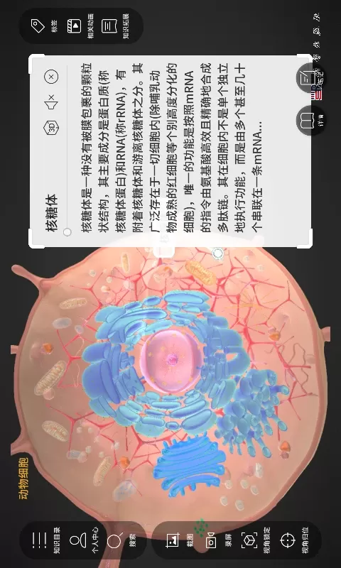 细胞生物学3D资源库系统官方版下载图2