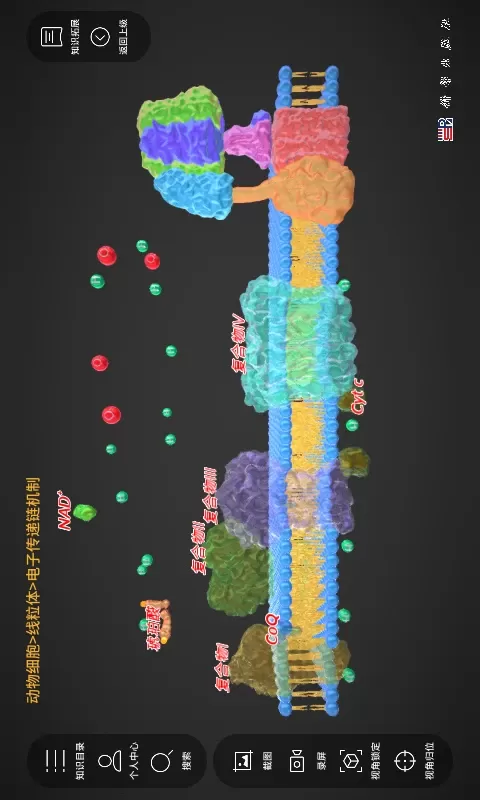 细胞生物学3D资源库系统官方版下载图1