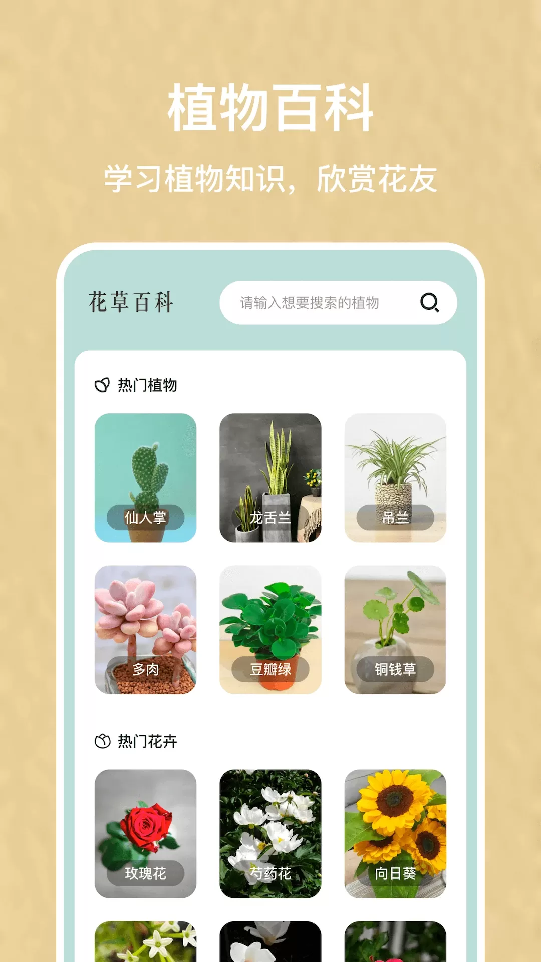 识别植物最新版本图4