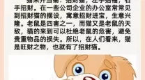 猪来了快跑是什么意思