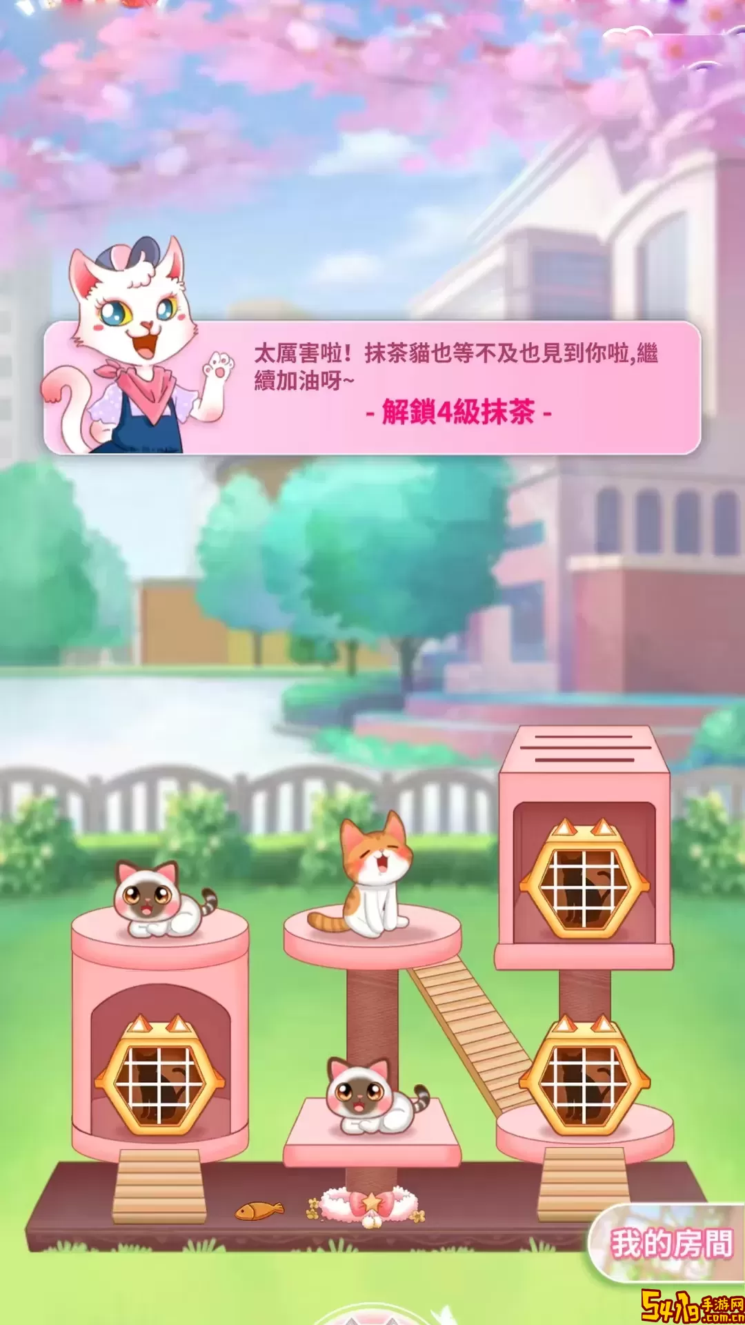 萌猫成长记游戏安卓版