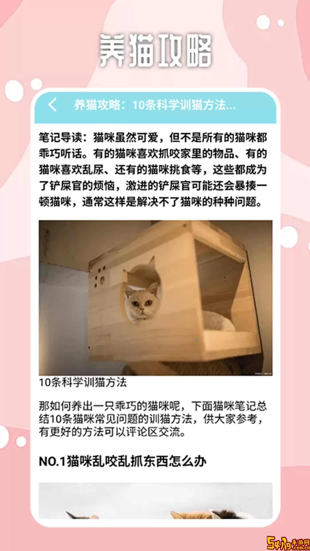 密聊猫咪下载安装免费