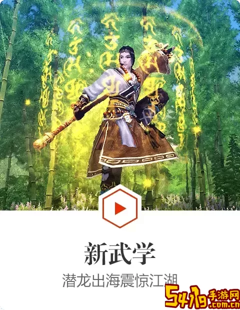 九阴真经神机营武学