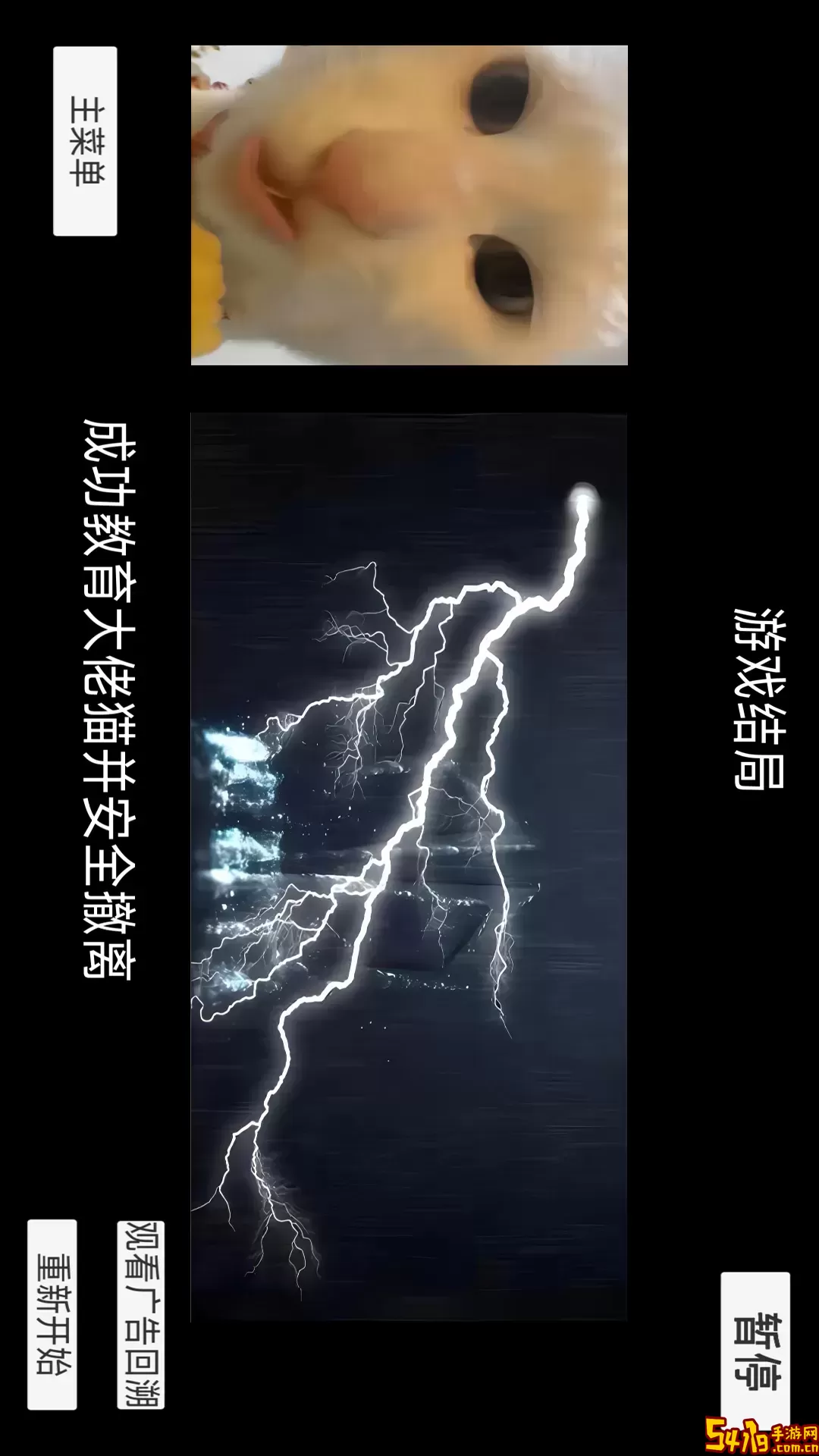 恐怖猫猫惊魂安卓版app