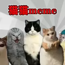 恐怖猫猫惊魂安卓版app