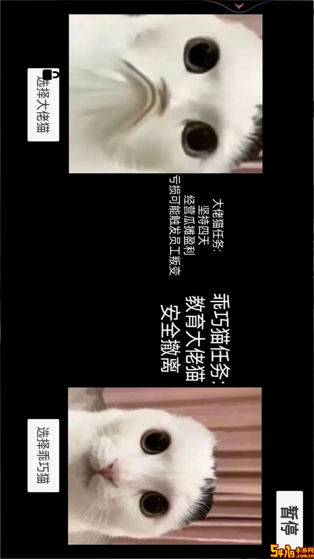 猫猫惊魂夜安卓最新版