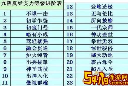 九阴真经1到6内实力对照表：详解各级别实力与属性分析图2